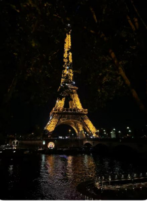 Eiffel Tower View Haussmanian Charm 2min walk from the Eiffel Tower gardens